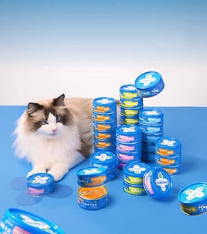 连云港广告公司 | 群诺品牌咨询与设计