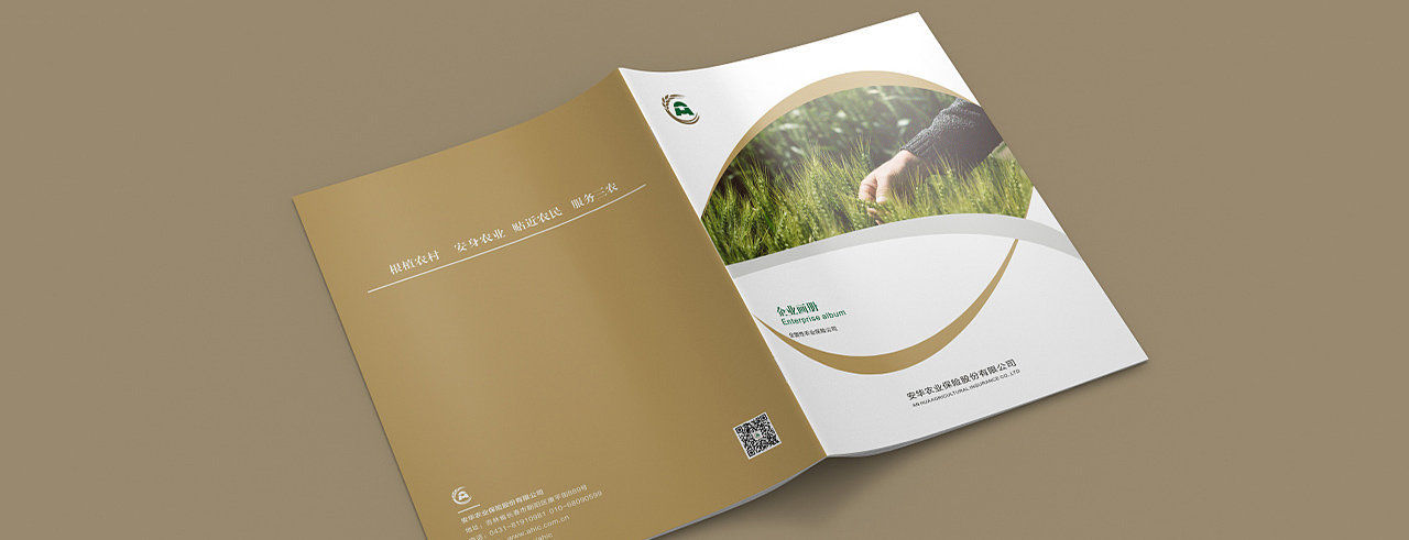 连云港设计公司|连云港广告公司|连云港展厅设计|连云港画册设计|连云港包装设计|连云港网络公司|连云港展厅设计
