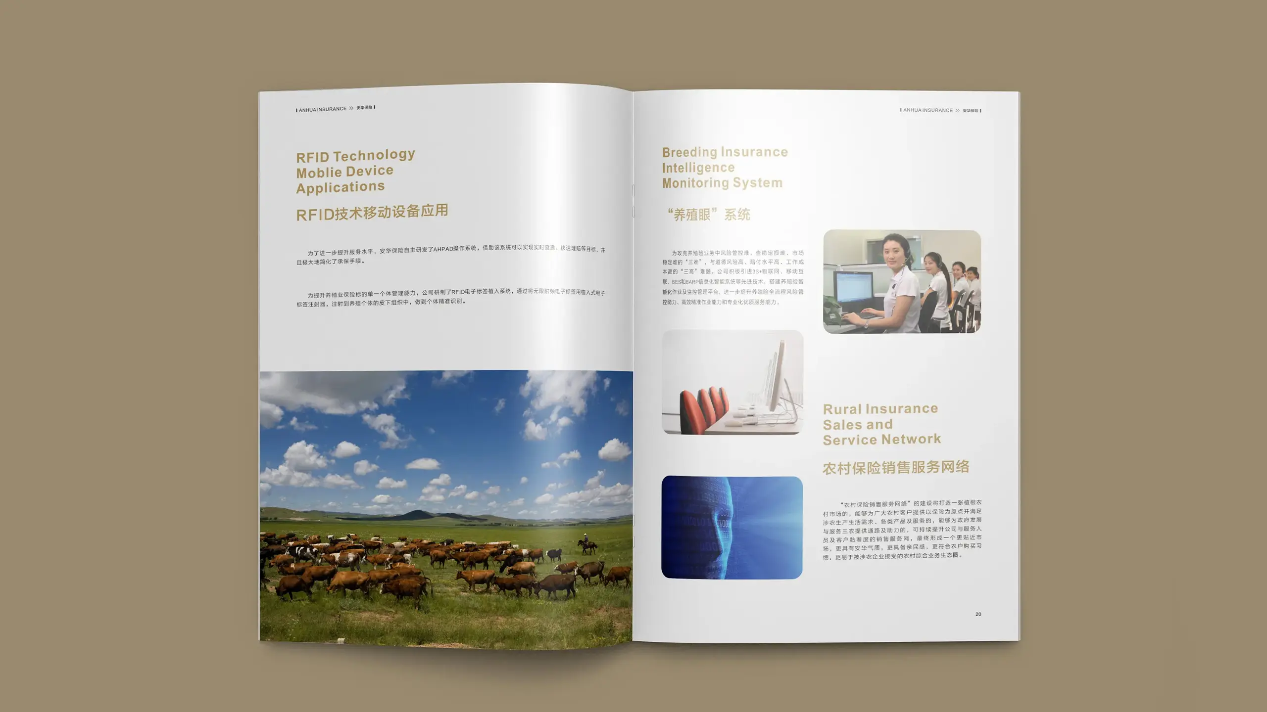 连云港企业画册设计