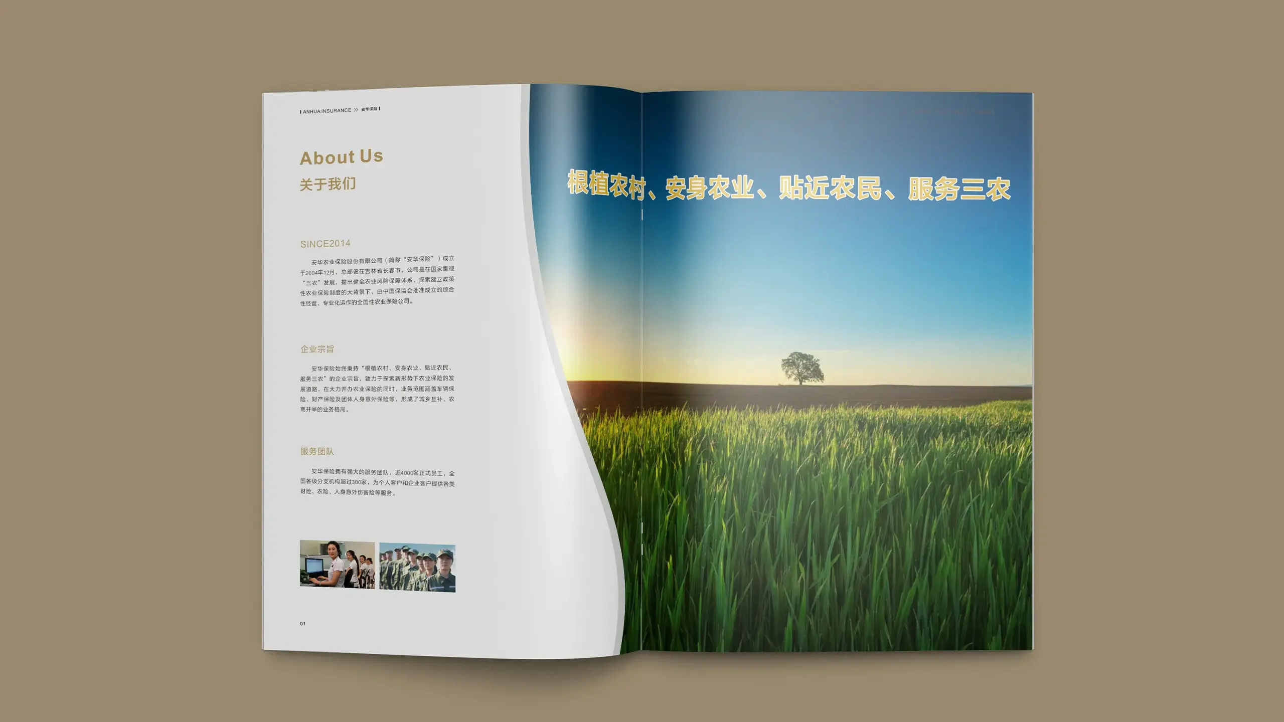 连云港企业画册设计