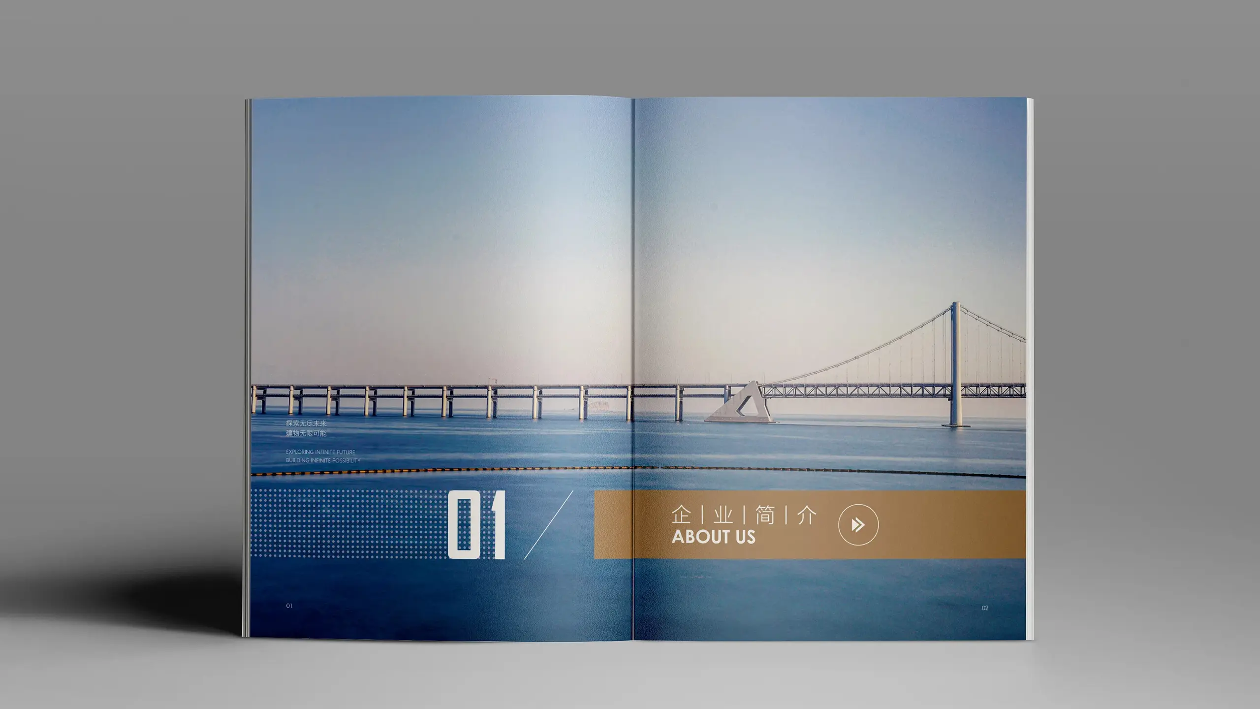 连云港广告公司 | 群诺品牌咨询与设计